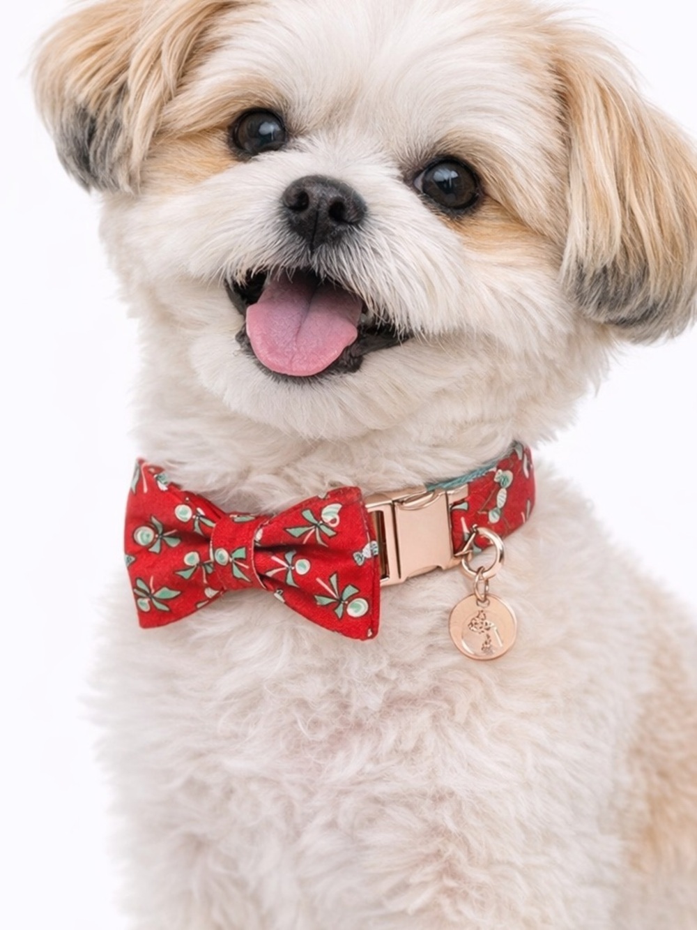 Candy Lollipop Dog Collar Bow Tie Set S/M Red Print Rose Gold NWT